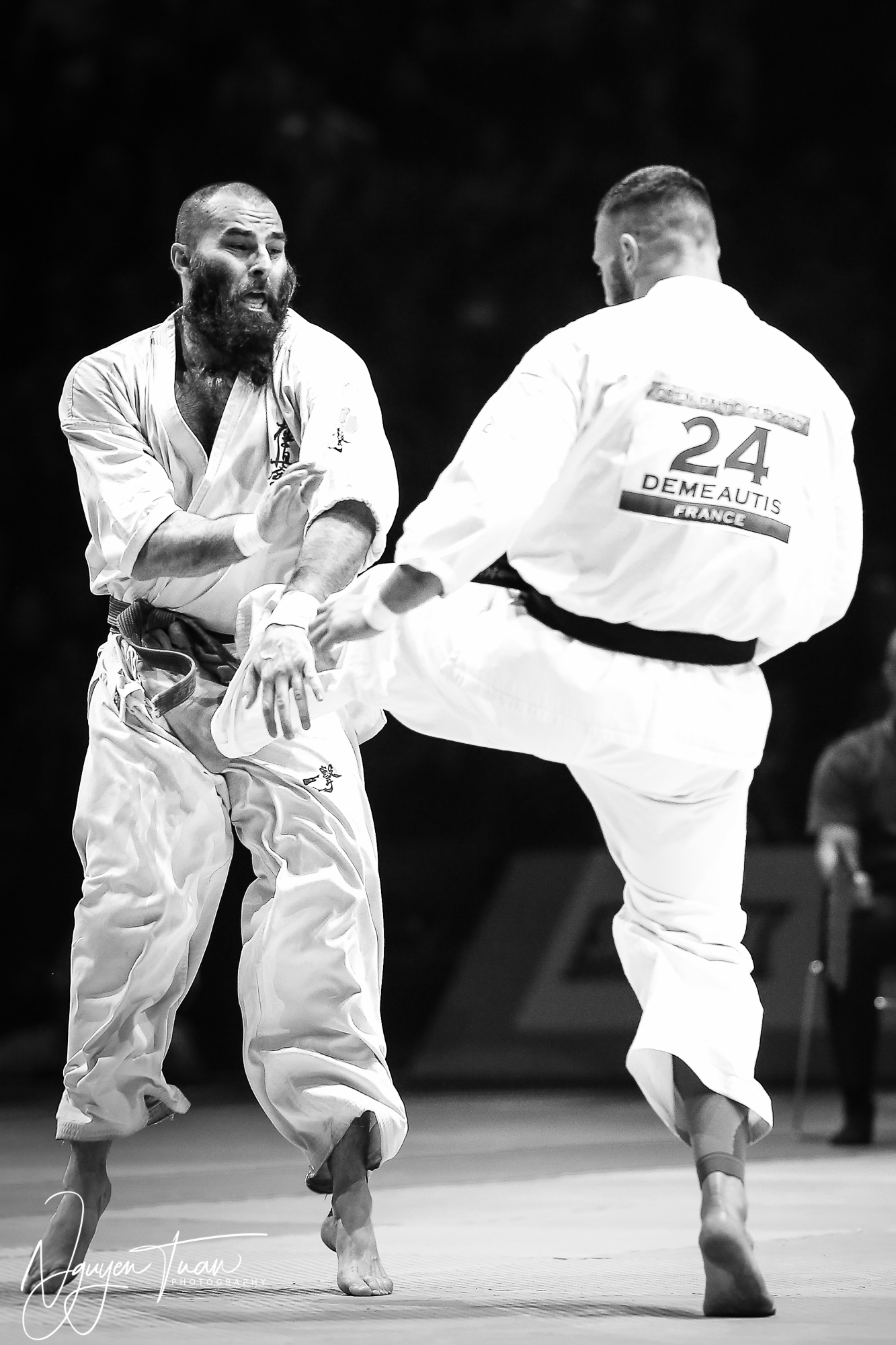 20190324 Festival des Arts Martiaux 6142